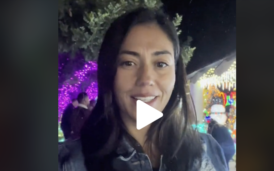 VIDEO: Have you visited the Zoolights at Reid Park Zoo?